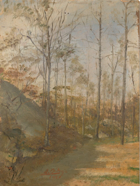 Vista de un parque en Nueva York (ca. 1921) - Alfredo Ortega Díaz. Foto: Juan Francisco Hernández Ortega. Digitalizado por Sistema de Bibliotecas - Universidad de los Andes.